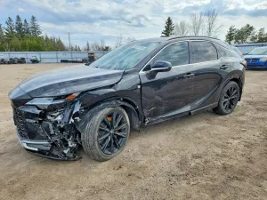 Lexus RX 2.4L 4 2024