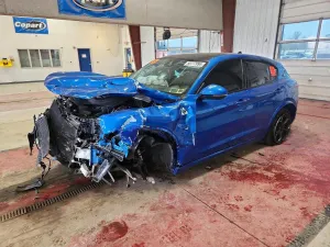Alfa Romeo Stelvio 2.9L 6 2019