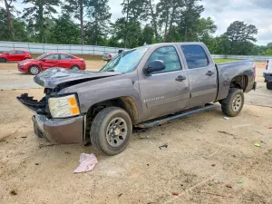 Chevrolet Silverado 1500 4.8L 8 2007