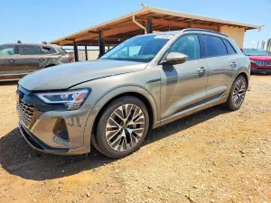 Audi Q8 e-tron 2024