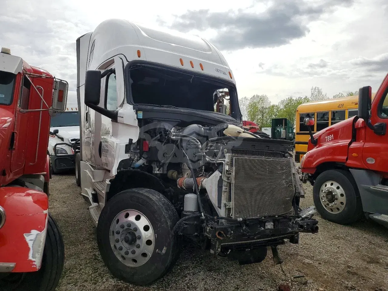 Freightliner Cascadia 14.8L 6 2026