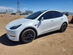 Tesla Model Y 2020