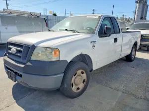 Ford F-150 4.6L 8 2007