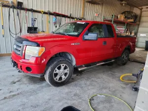 Ford F-150 4.6L 8 2009