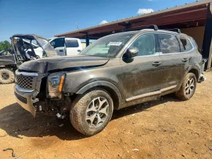 Kia Telluride 3.8L 6 2020