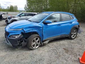 Hyundai Kona 2.0L 4 2022