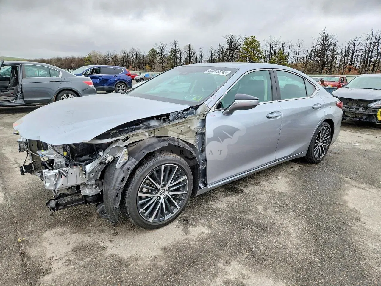 Lexus ES 3.5L 6 2024