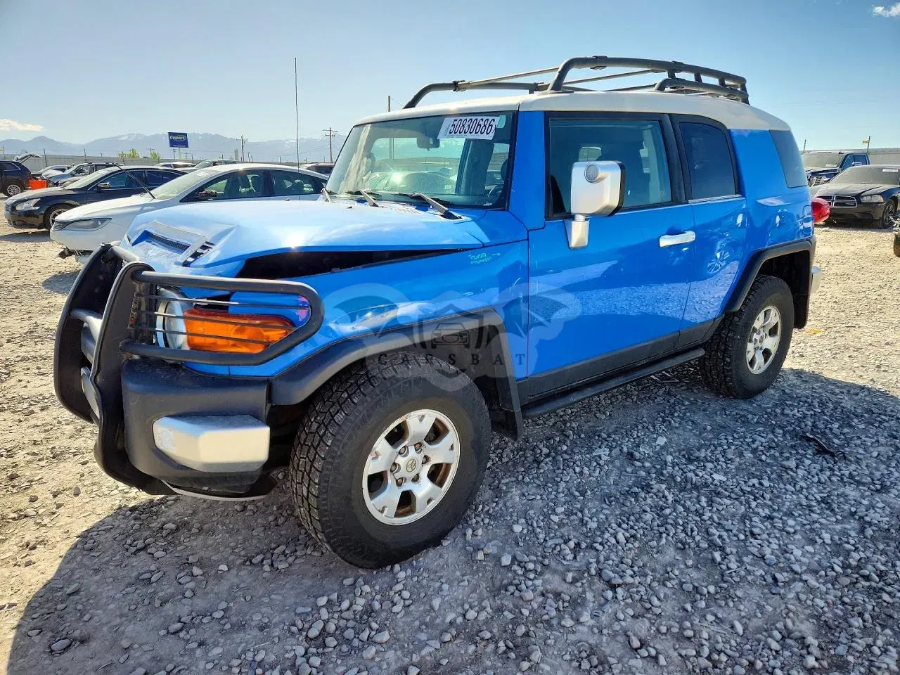 Toyota FJ Cruiser 4.0L 6 2007
