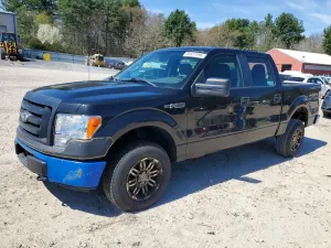 Ford F-150 4.6L 8 2010