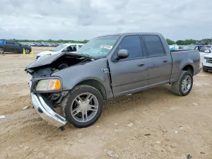 Ford F-150 5.4L 8 2002