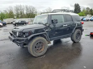 Toyota FJ Cruiser 4.0L 6 2007