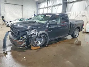 Dodge RAM 4.7L 8 2009