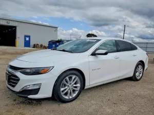 Chevrolet Malibu 1.5L 4 2019