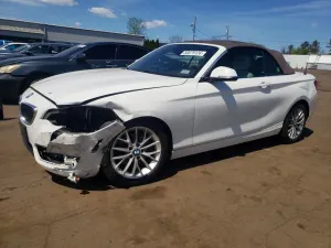 BMW 2 Series 2.0L 4 2016