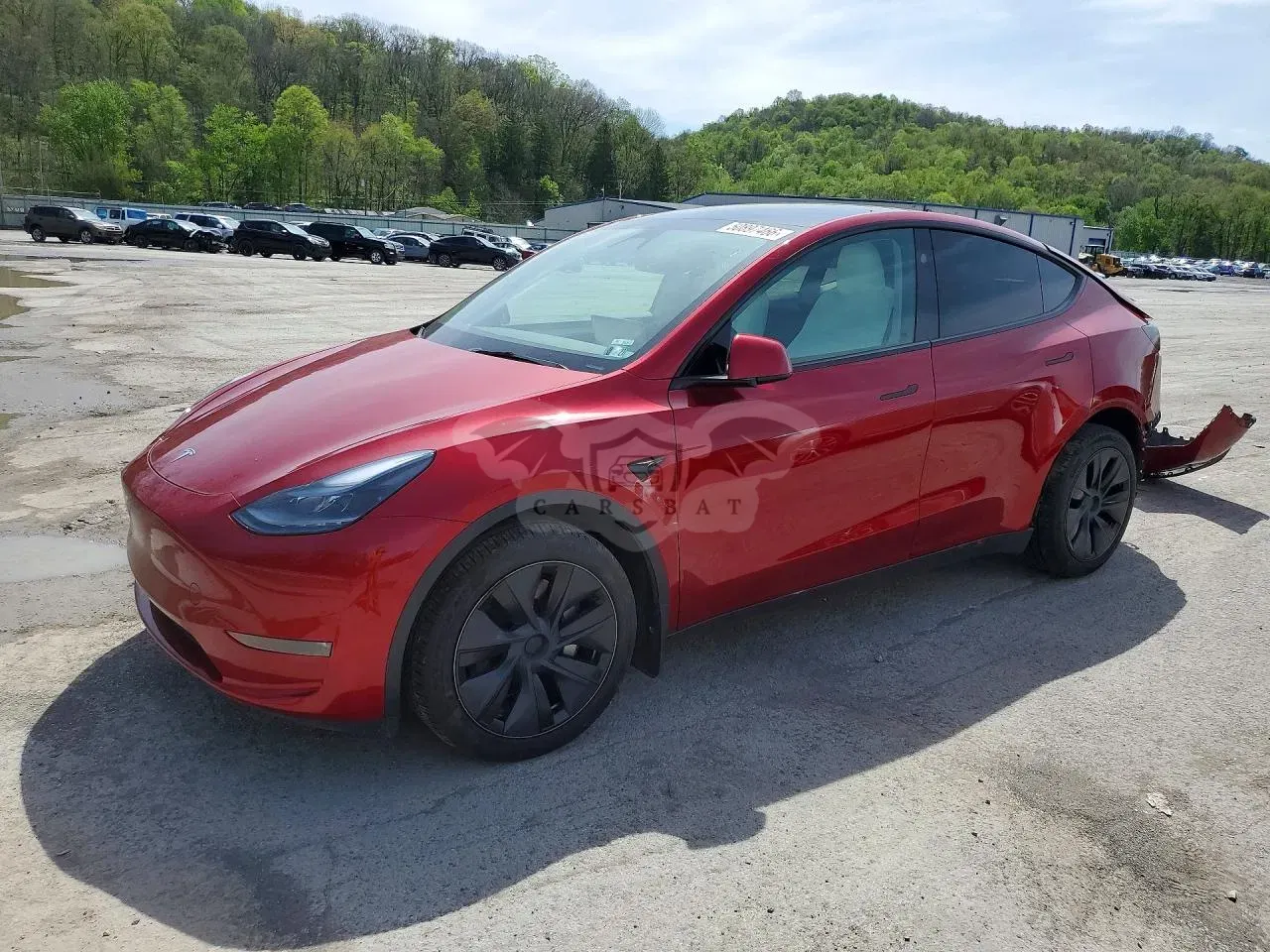 Tesla Model Y 2024