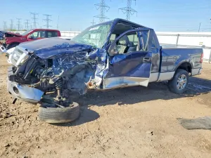 Ford F-150 4.6L 8 2007