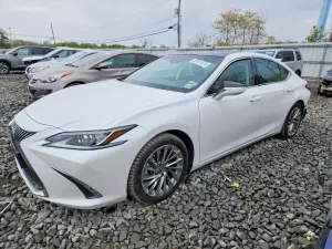 Lexus ES 3.5L 6 2019