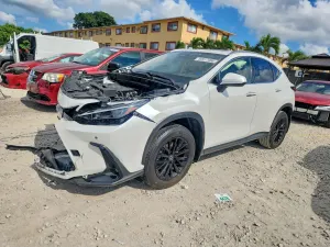 Lexus NX 2.5L 4 2022