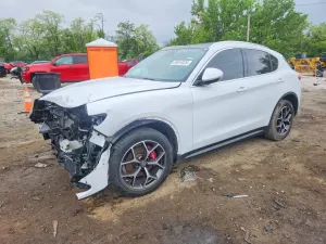 Alfa Romeo Stelvio 2.0L 4 2019