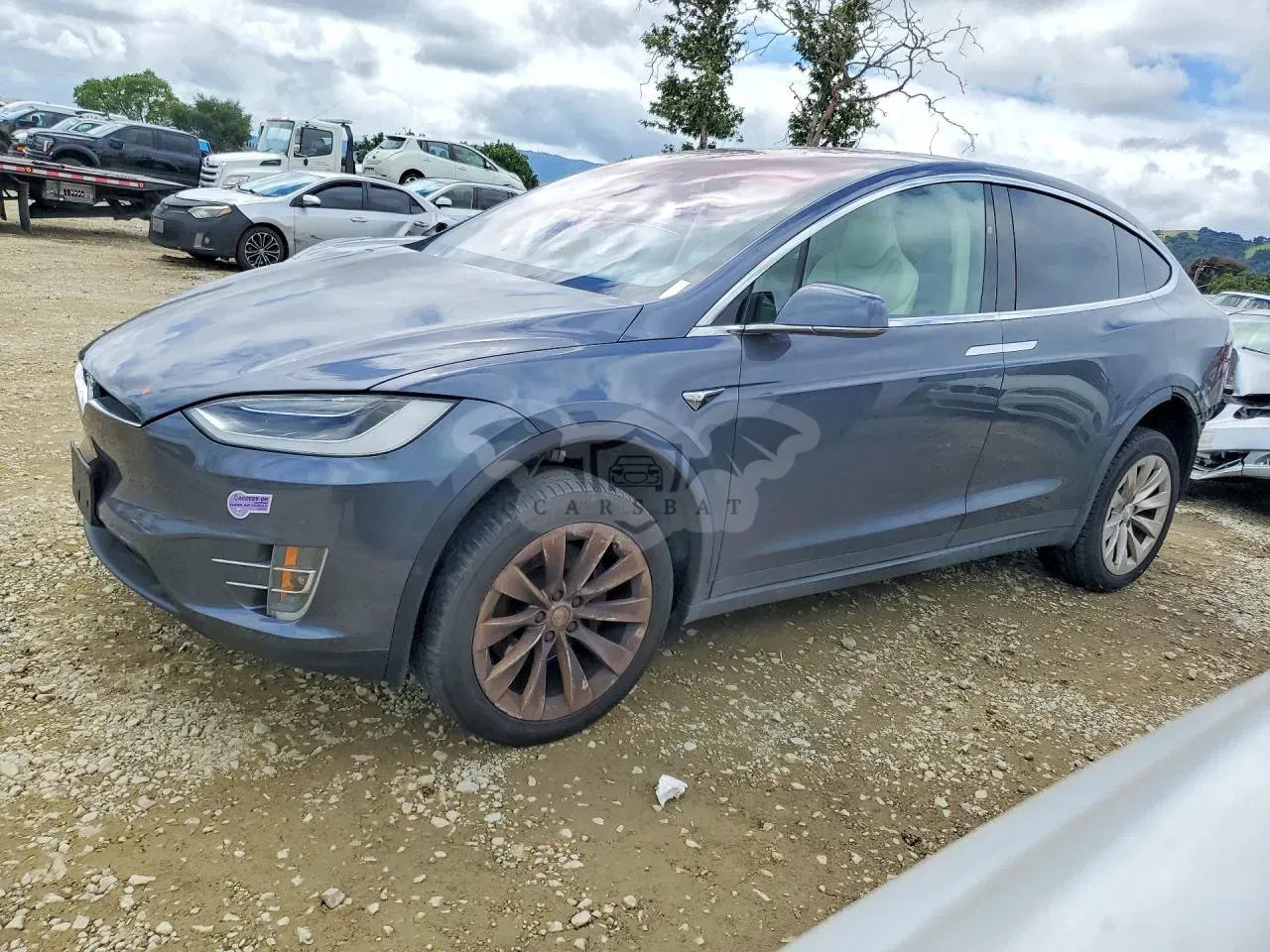 Tesla Model X 2019