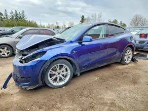 Tesla Model Y 2024