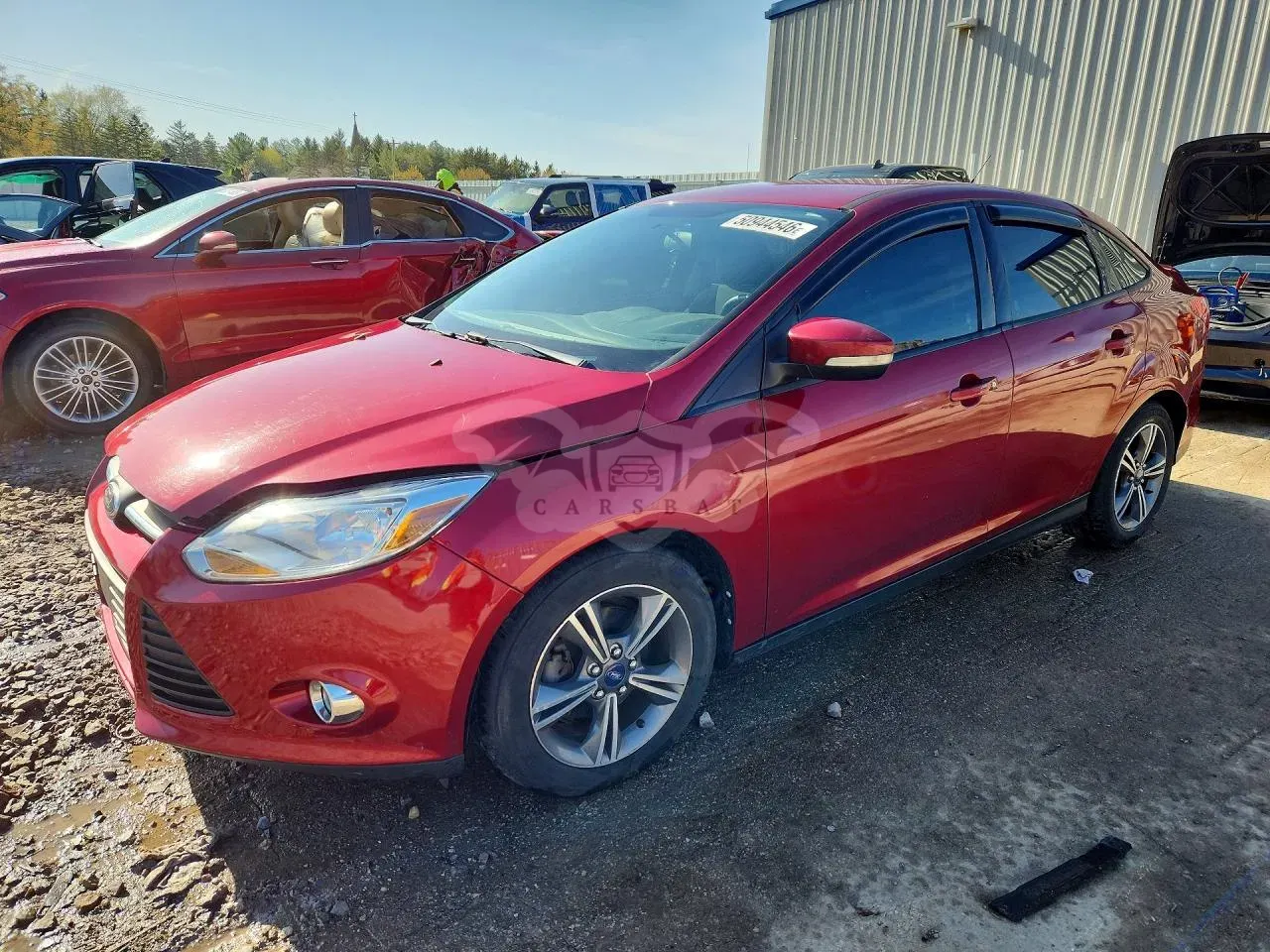 Ford Focus 2.0L 4 2014
