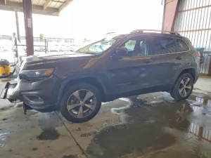 Jeep Cherokee 2.0L 4 2019