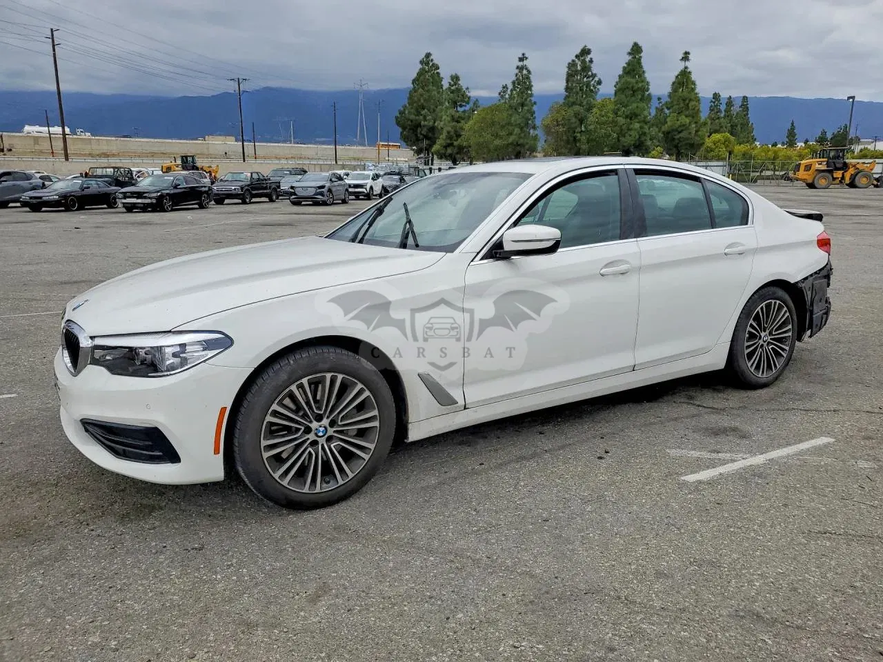 BMW 5 Series 2.0L 4 2019