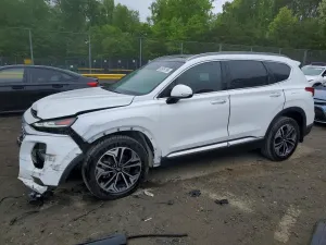 Hyundai Santa Fe 2.0L 4 2019