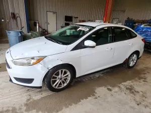 Ford Focus 2.0L 4 2017
