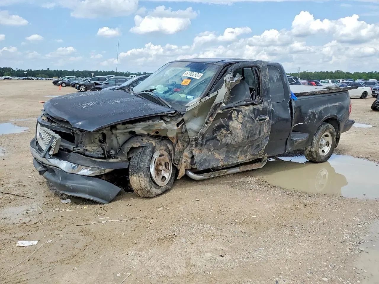 Ford F-150 5.4L 8 1999