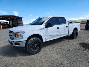Ford F-150 5.0L 8 2019