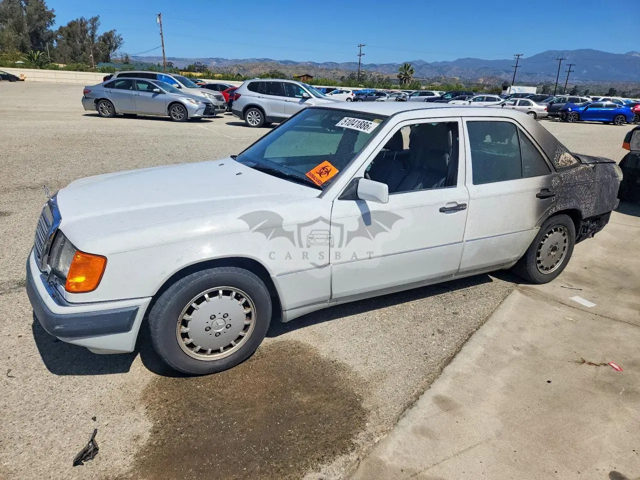 Mercedes-Benz 300 2.5L 5 1993
