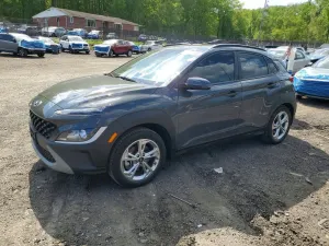 Hyundai Kona 2.0L 4 2023