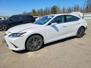 Lexus ES 3.5L 6 2023