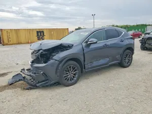 Lexus NX 2.5L 4 2024
