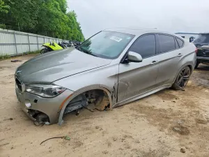 BMW X6 4.4L 8 2019