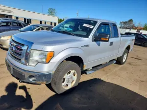 Ford F-150 4.6L 8 2010