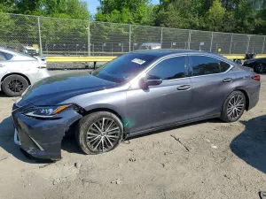 Lexus ES 3.5L 6 2023