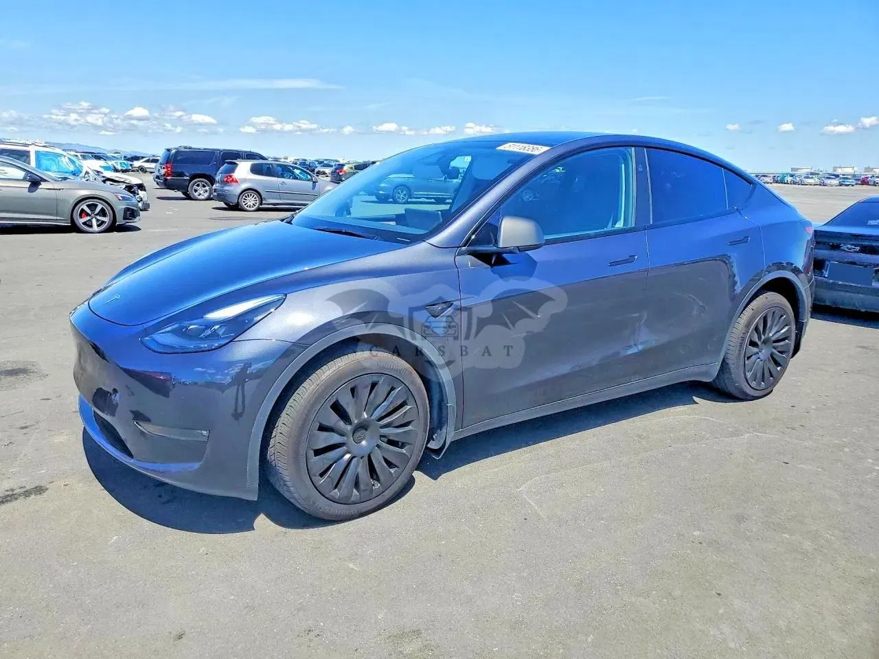 Tesla Model Y 2024