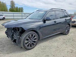 BMW X7 4.4L 8 2020