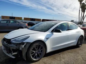 Tesla Model 3 2019