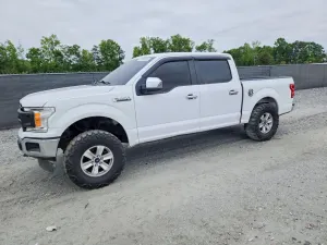 Ford F-150 5.0L 8 2019