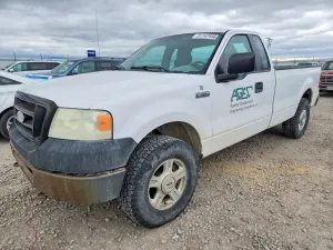 Ford F-150 4.6L 8 2007