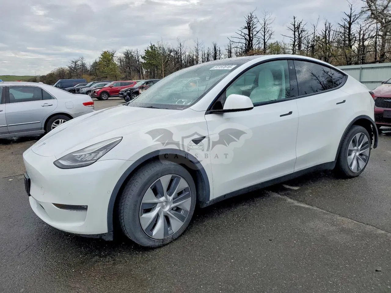 Tesla Model Y 2022