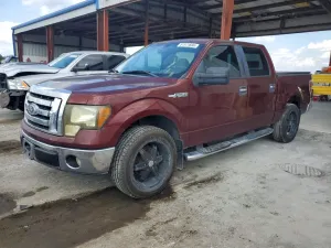 Ford F-150 4.6L 8 2009
