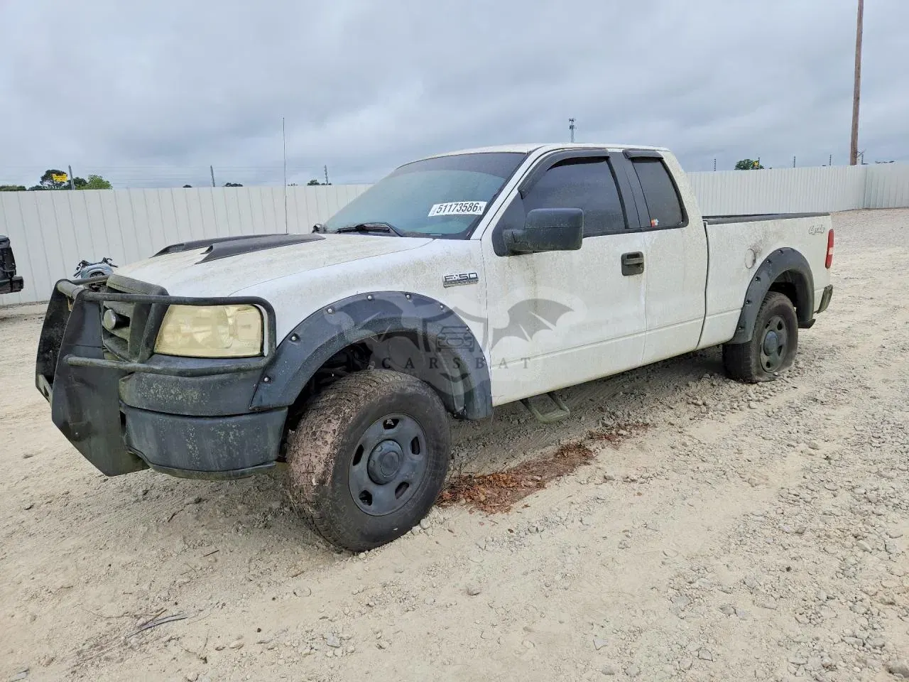 Ford F-150 5.4L 8 2007