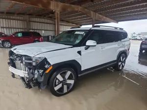 Hyundai Santa Fe 2.5L 4 2024