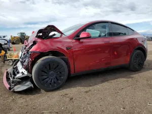 Tesla Model Y 2024