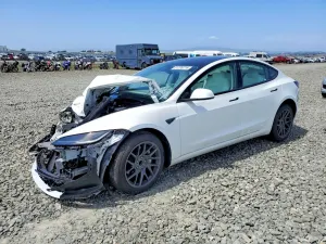 Tesla Model 3 2025